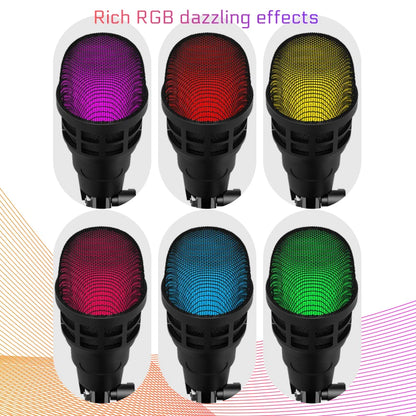 Professional USB Studio RGB Microphone For PC Streaming, Game, YouTube Video, Singing
