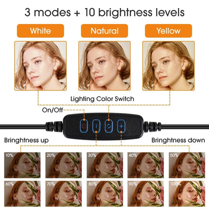 10inch LED Selfie Ring Lights Led Photography Light Lamp with Phone Stand Photo Lamp Ringlight For Youtube Video Live Fill Lamps