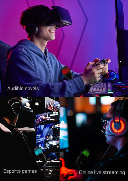 Professional USB Studio RGB Microphone For PC Streaming, Game, YouTube Video, Singing