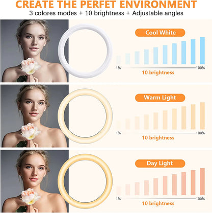 10.2" Dimmable Selfie Ring Light with Tripod & Phone Holders